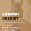 MINIATURY WEBINARY-23 Certyfikowany webinar- Zdrowy grzbiet. Jak dbać o plecy konia (nagranie)