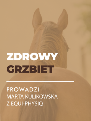 MINIATURY WEBINARY-23 Certyfikowany webinar- Zdrowy grzbiet. Jak dbać o plecy konia (nagranie)
