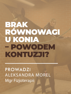 MINIATURY WEBINARY-23 (1) Certyfikowany webinar- Brak równowagi u konia. Czy może być powodem kontuzji?