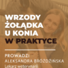 MINIATURY WEBINARY-23 Certyfikowany webinar- Wrzody żołądka u koni w praktyce (nagranie)