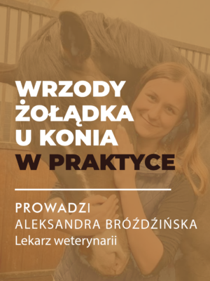 Certyfikowany webinar- Wrzody żołądka u koni w praktyce (nagranie)