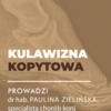 Certyfikowany webinar- Kulawizna kopytowa. Od objawu do diagnozy