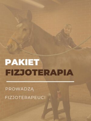 Pakiet Fizjoterapia Pakiet Fizjoterapia – pakiet certyfikowanych webinarów