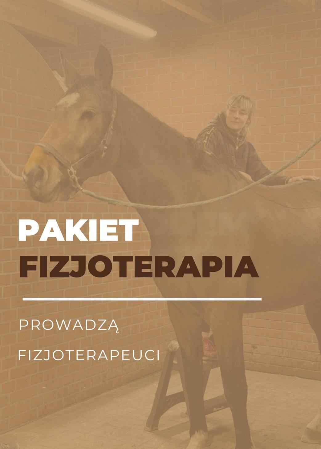 Pakiet Fizjoterapia Pakiet Fizjoterapia – pakiet certyfikowanych webinarów