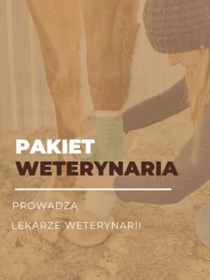 Pakiet Weterynaria Pakiet Weterynaria – pakiet certyfikowanych webinarów