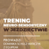 Sklep Certyfikowany webinar- Trening neuro-sensoryczny w jeździectwie (nagranie)