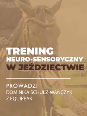 Certyfikowany webinar- Trening neuro-sensoryczny w jeździectwie (nagranie)