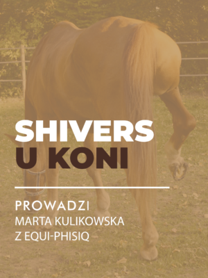 Certyfikowany webinar- Shivers u koni (nagranie)