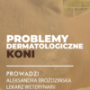 Certyfikowany webinar- Problemy dermatologiczne koni