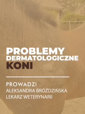 MINIATURASKLEP Certyfikowany webinar- Problemy dermatologiczne koni