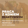 Certyfikowany webinar- Praca z koniem reaktywnym