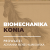Sklep Certyfikowany webinar- Biomechanika konia. Co powinieneś wiedzieć?