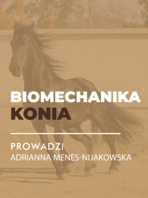 Certyfikowany webinar- Biomechanika konia. Co powinieneś wiedzieć?