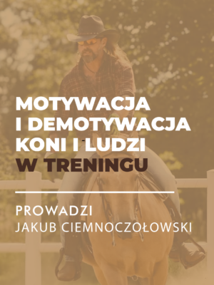 MINIATURY WEBINARY Certyfikowany webinar- Motywacja i demotywacja koni i ludzi w treningu