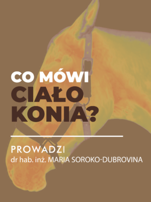 Sklep Cartyfikowany webinar- Co mówi ciało konia. Ocena przed zabiegiem fizjoterapeutycznym