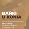 MINIATURY WEBINARY Certyfikowany webinar- Bańki u koni