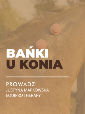 MINIATURY WEBINARY Certyfikowany webinar- Bańki u koni