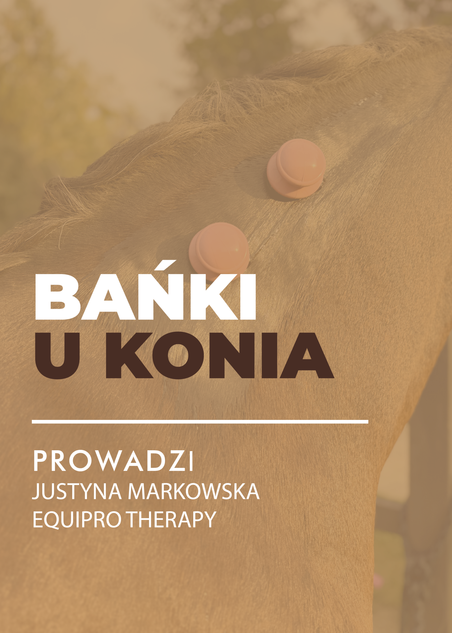 Certyfikowany webinar- Bańki u koni